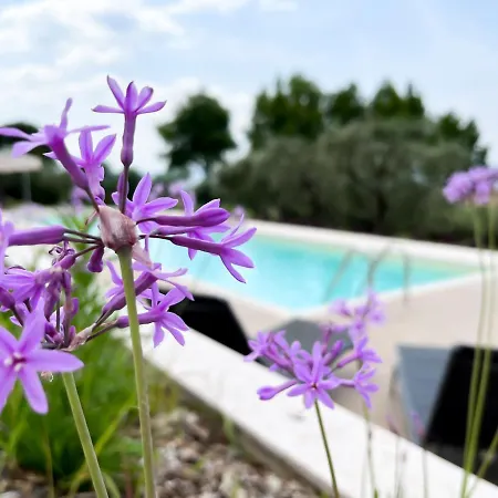 Monsurei, View Apartman *