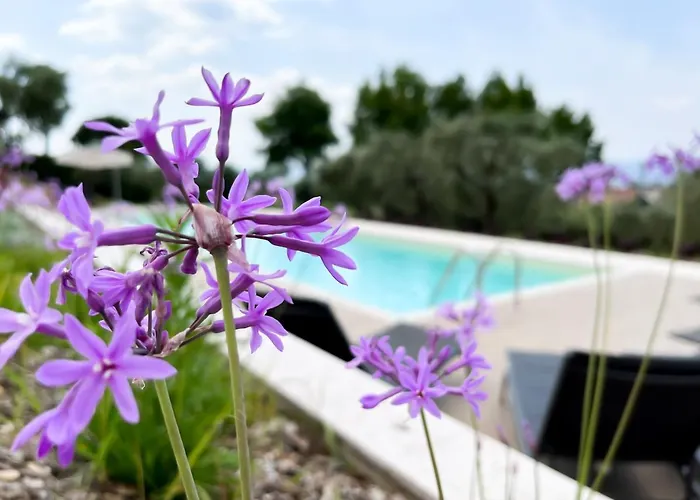 Monsurei, View Appartement *